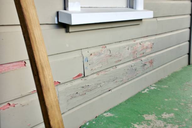 Best Wood Siding Installation  in Walnut Park, CA
