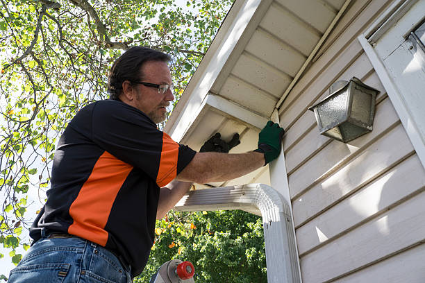 Best Engineered Wood Siding  in Walnut Park, CA